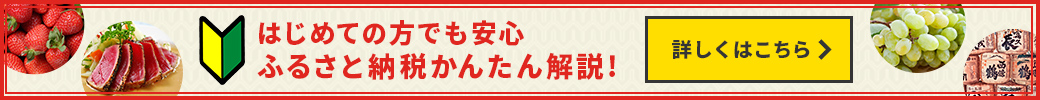 ふるさと納税ガイド